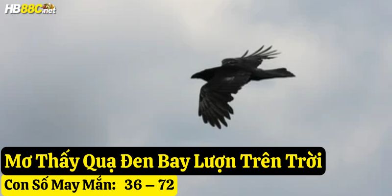nằm mơ thấy con quạ