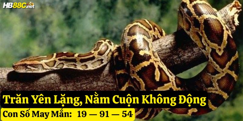 nằm mơ thấy trăn