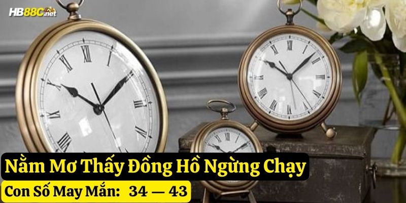 mơ đồng hồ