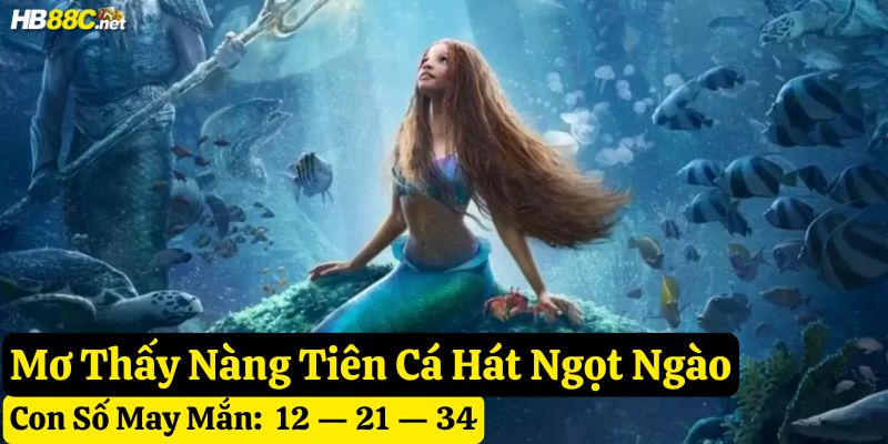mơ nàng tiên cá
