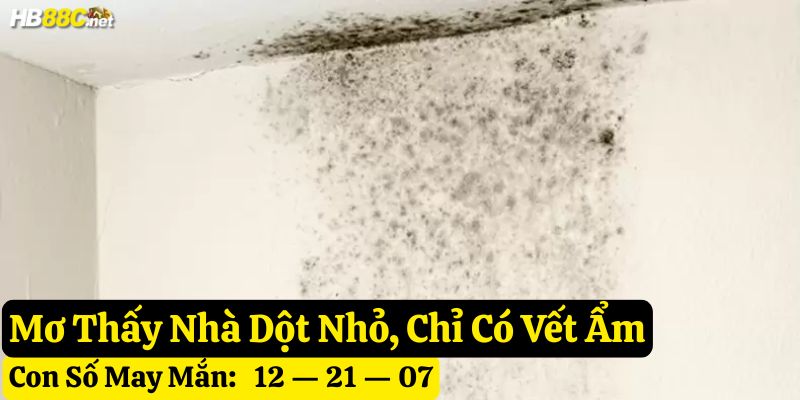mơ thấy nhà bị dột